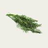 شبت Dill (حزمة 150 جم)