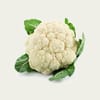 زهرة  Cauliflower (حبه )