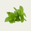 نعناع  Mint (حزمة 150 جم)