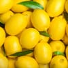 ليمون أصفر (14 كجم)