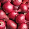 بصل أحمر (6 كجم)