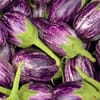 باذنجان ملون (8 كجم)