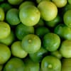 ليمون زهيرة (2.5 كجم)