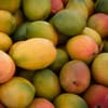 مانجو قلب الثور (3 كجم)