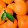 برتقال أبو صرة (10 كجم)