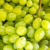 عنب أخضر إيطالي (4.5 كجم)