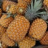 أناناس سكري (5 كجم)