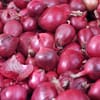بصل أحمر (20 كجم)
