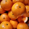 يوسفي أسباني (8 كجم)