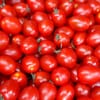 طماطم شيري (9 علبة)
