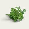 [137788257] بقدونس Parsley  (حزمة)
