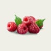 [278096564] توت عليق أحمر Raspberry (علبة 125 جم)