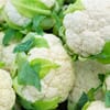 [111456148] زهرة  Cauliflower (6 كجم)