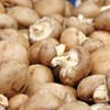 [185827051] فطر بني Brown Mushroom(8 علبة 250 جم)