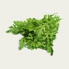 [712644313] ورق جرجير صغير مستورد Baby Rocca Leaves(علبة 150 جم)