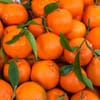 [474446581] يوسفي تركي (8 كجم)