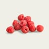 [553357365] توت عليق أحمر Raspberry  (علبة 170 جم) 