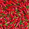 فلفل أحمر وسط (2.5 كجم)
