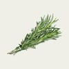 [886884850] Rosemary 