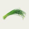 [147976771] ورق الثوم مستورد Chives (علبة)