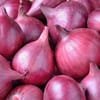 [654137453] بصل أحمر مستورد Red Onion (10 كجم)